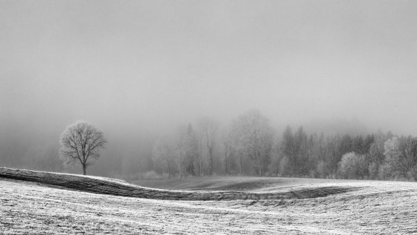 Серый пейзаж