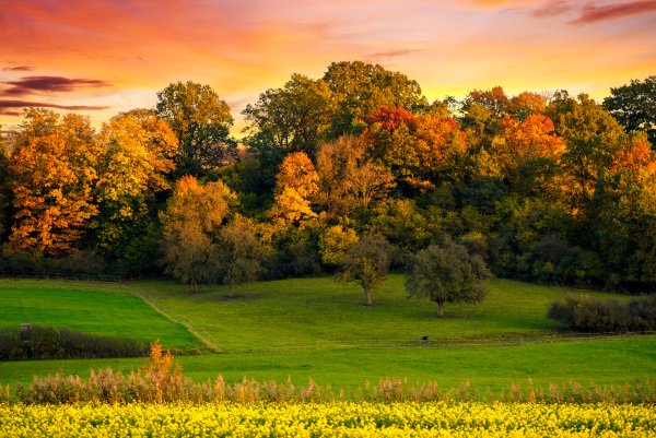 Осенние Луга