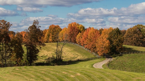 Пейзаж осени