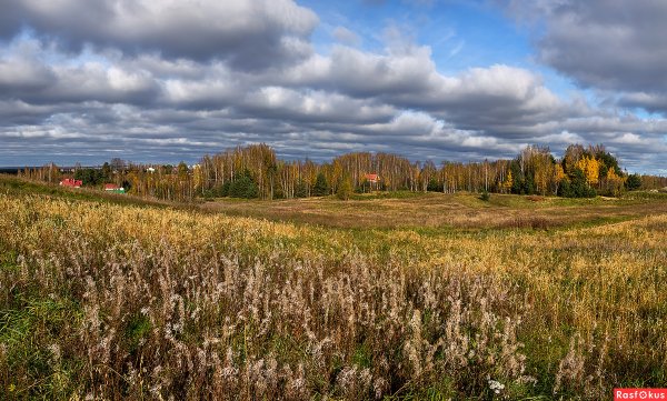 Колтушские высоты Ленинградская область