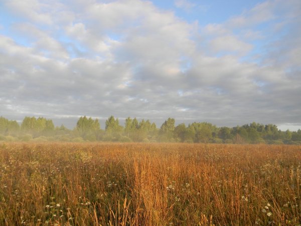Осенние Луга