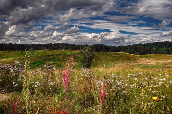 Южный Урал суходольные Луга