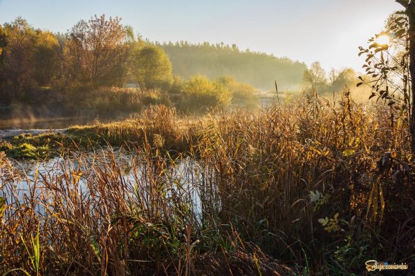 Осень река Усманка Воронеж