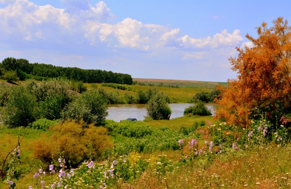 Река поле осень