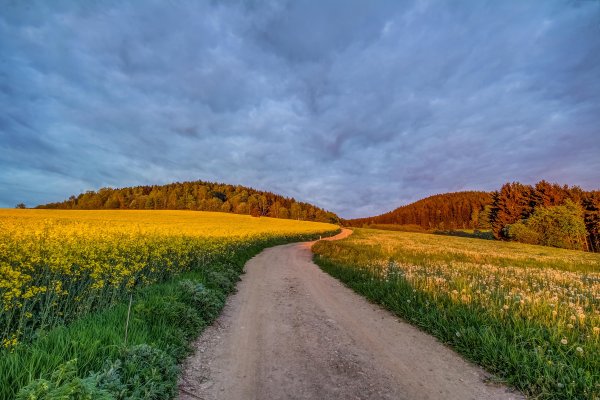 Поле осенью