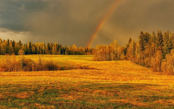 Владимир Рябков
