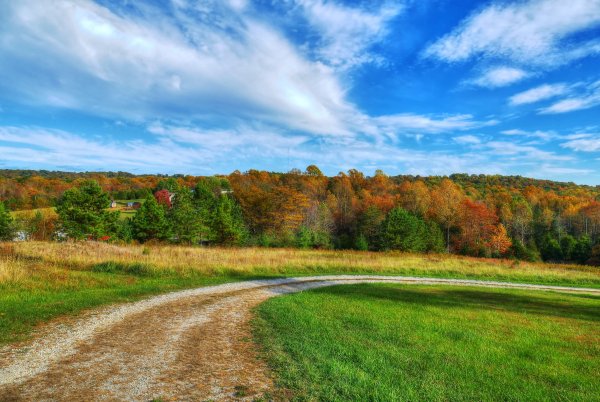 Осенний лес вдали