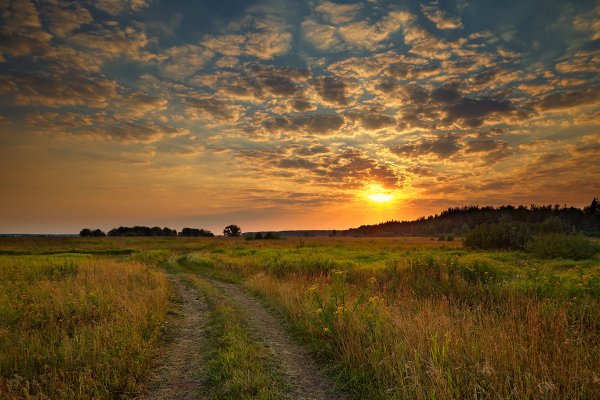 Луг вечером