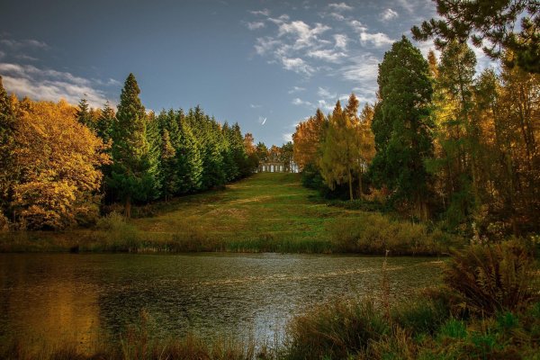 Природа лес Луга река