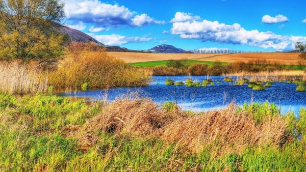 Пейзаж с рекой