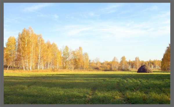 Осень в городе Луга