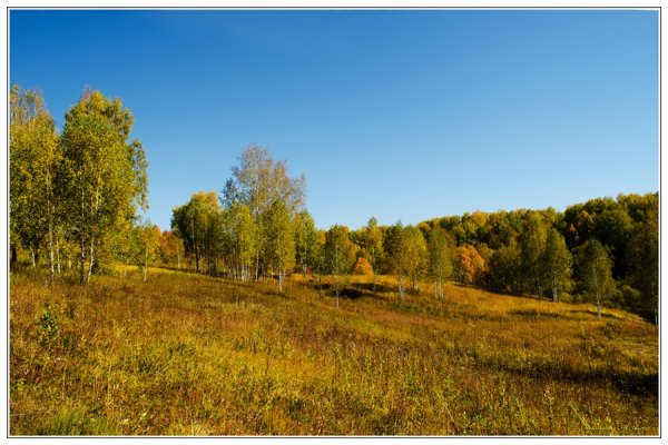 Золотая осень Луга