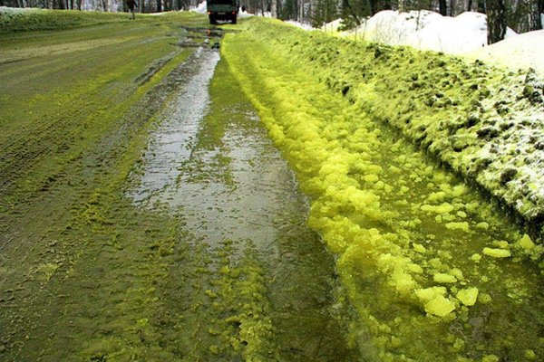 Хромпик зеленый снег Первоуральск