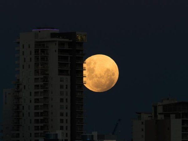 Луна сейчас