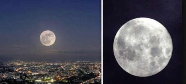 Как выглядит Луна