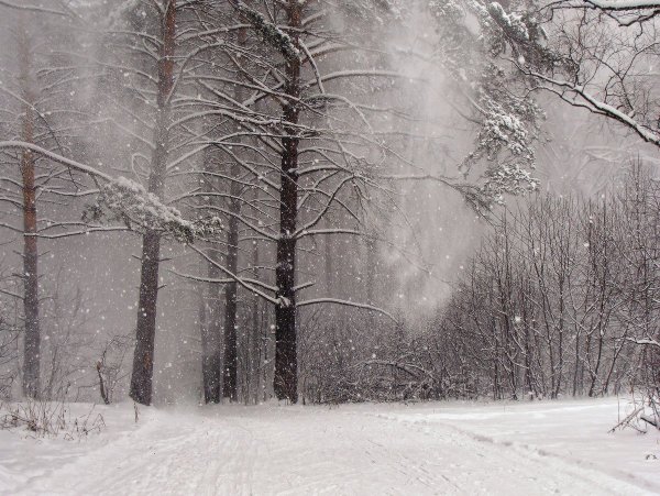 Снежок кружится