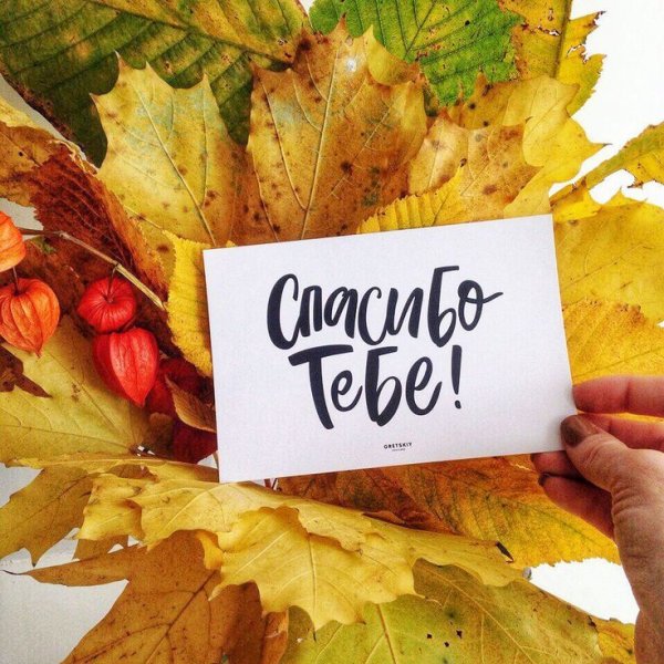 Спасибо осенние листья