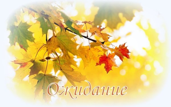 Открытки спасибо осенние