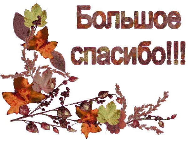 Осеннее спасибо