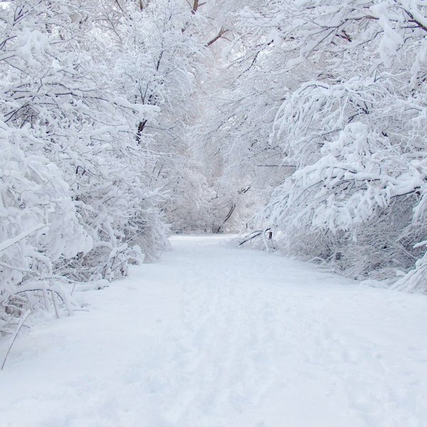 Замело снегом