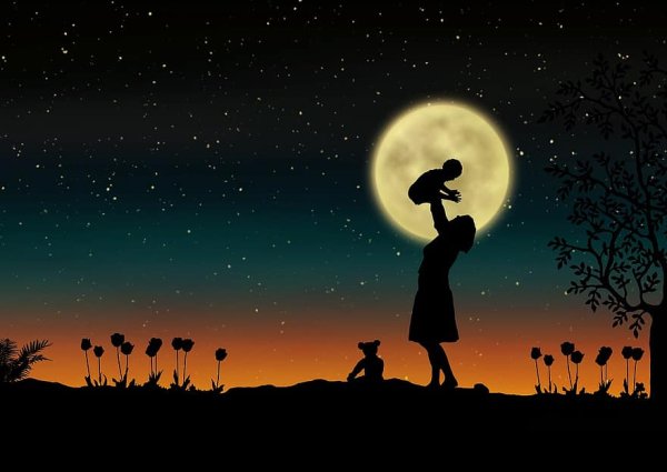 Лунный цветок силуэт