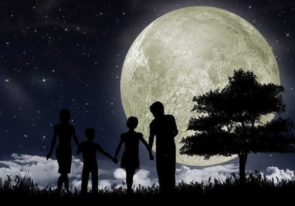 Семья под звездным небом