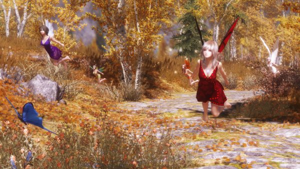 Скайрим мод феи спутницы