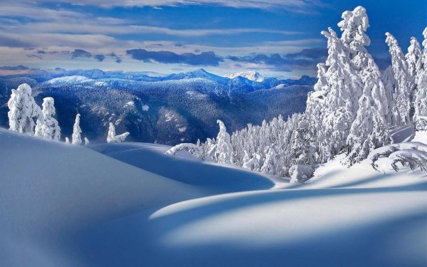 Винтер Сноу