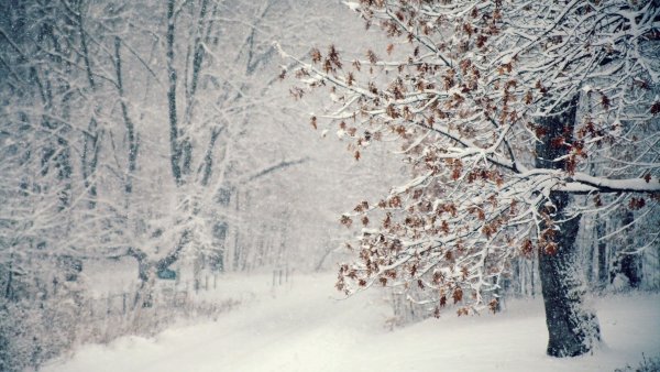 Падающий снег
