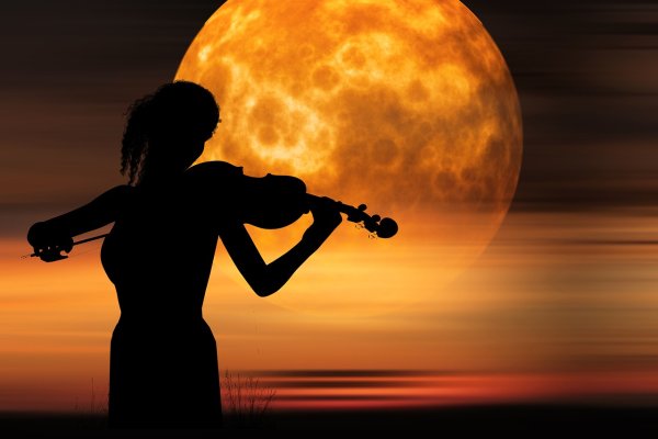 Скрипка закат