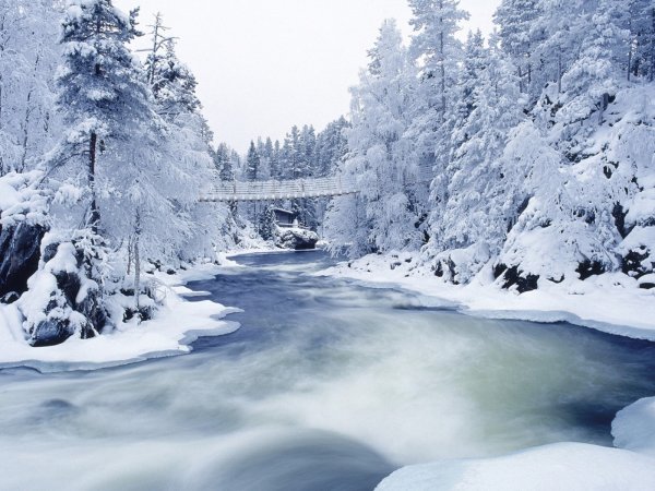 Замерзшая река (Frozen River) 2008