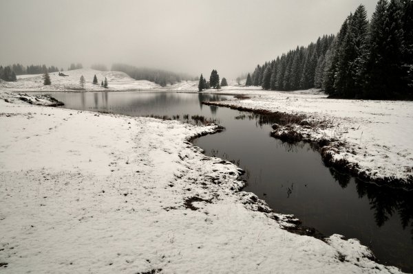 Зима черная река