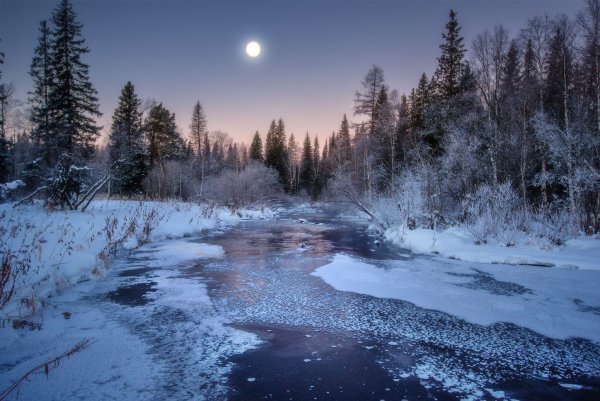 Зимний лес с рекой