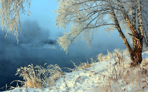 Снег на берегу реки