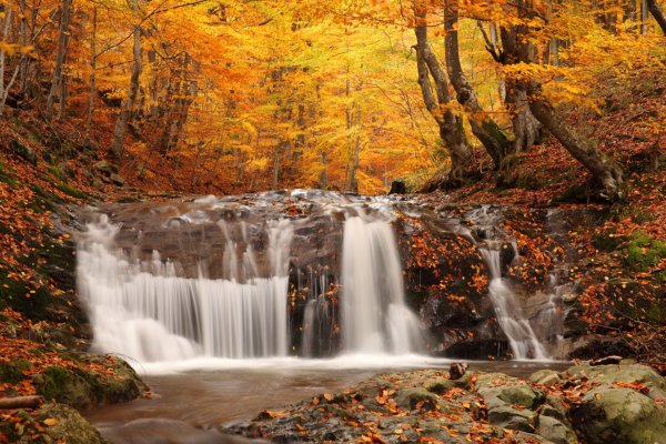 Красивая природа осенью