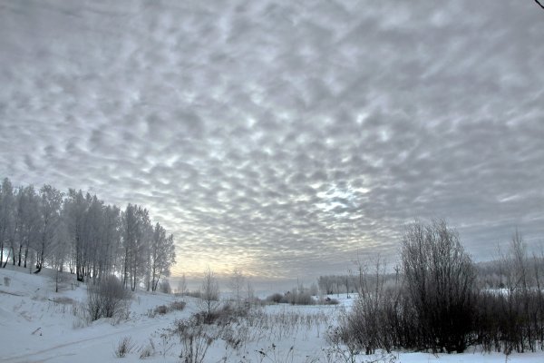 Пасмурная зима