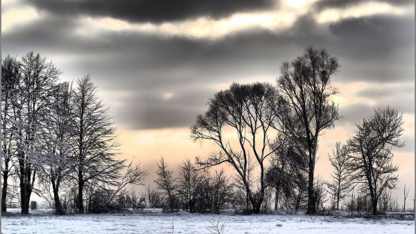Серый зимний пейзаж