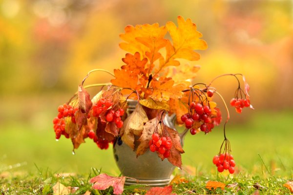 Осень началась