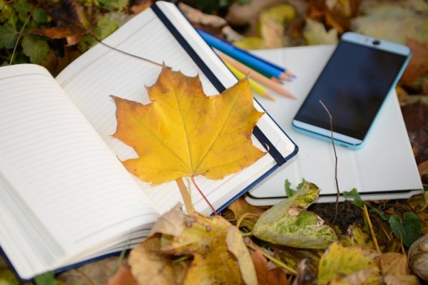 Осень блокнот