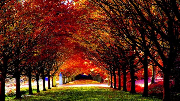 Яркая осень парк