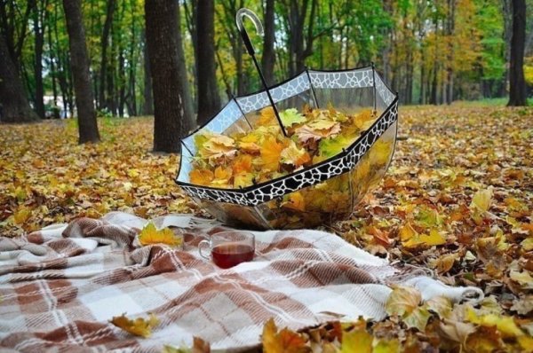 Осень я и зонтик