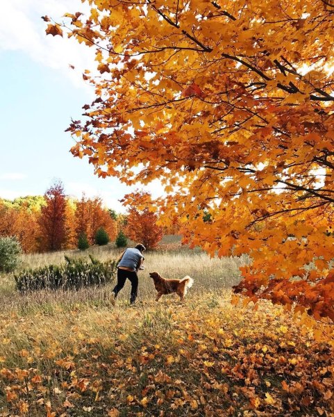 Мгновения осени