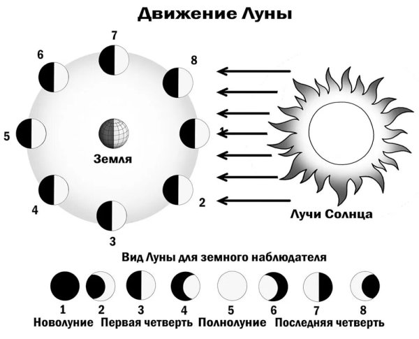 Схема смены фаз Луны
