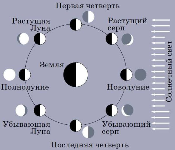 Фазы Луны с названиями