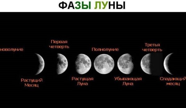 Фазы Луны сообщение кратко