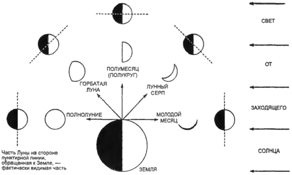 Фазы солнца схема