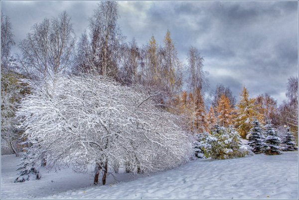 Фотографии первого снега