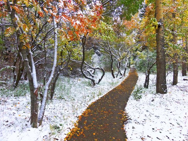Город осень первый снег