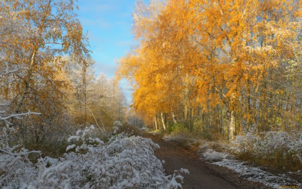 Первый снег