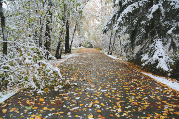 Снег осенью